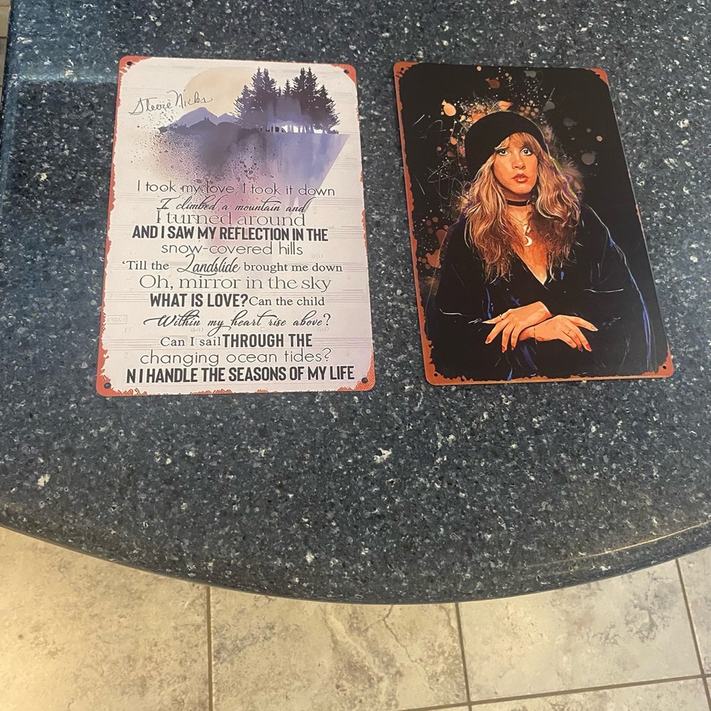 Stevie Nicks metal signs new